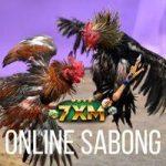7XM-Online-Sabong-Sports-Betting.jpg